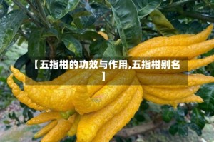 【五指柑的功效与作用,五指柑别名】