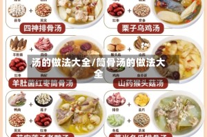 汤的做法大全/筒骨汤的做法大全