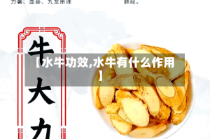 【水牛功效,水牛有什么作用】