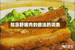 包含野猪肉的做法的词条