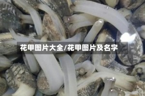 花甲图片大全/花甲图片及名字