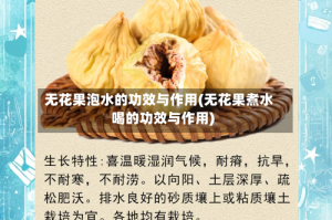 无花果泡水的功效与作用(无花果煮水喝的功效与作用)