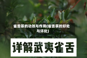雀舌茶的功效与作用(雀舌茶的好处与坏处)
