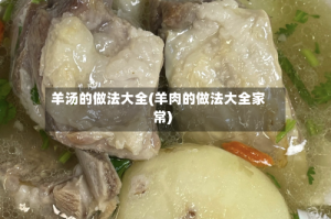 羊汤的做法大全(羊肉的做法大全家常)