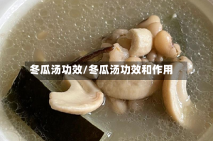 冬瓜汤功效/冬瓜汤功效和作用