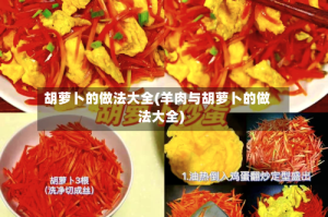 胡萝卜的做法大全(羊肉与胡萝卜的做法大全)