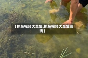 【抓鱼视频大全集,抓鱼视频大全集高清】