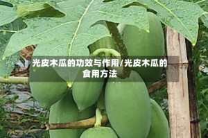 光皮木瓜的功效与作用/光皮木瓜的食用方法