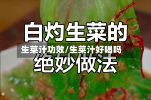 生菜汁功效/生菜汁好喝吗