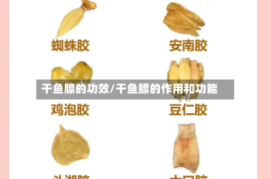 干鱼膘的功效/干鱼鳔的作用和功能