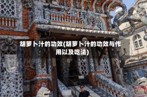 胡萝卜汁的功效(胡萝卜汁的功效与作用以及吃法)