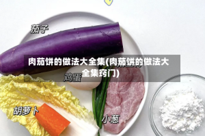 肉茄饼的做法大全集(肉茄饼的做法大全集窍门)