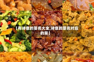 【有诗意的菜名大全,诗意的菜名对应的菜】
