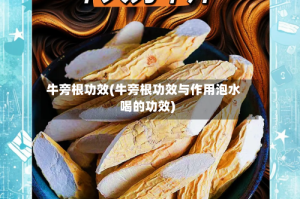 牛旁根功效(牛旁根功效与作用泡水喝的功效)