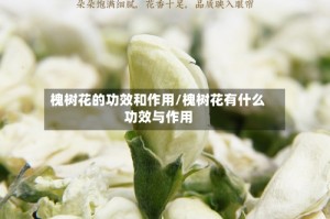 槐树花的功效和作用/槐树花有什么功效与作用