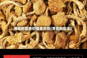 滑菇的营养价值及功效(滑菇的吃法)