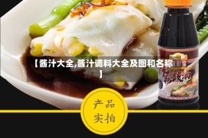 【酱汁大全,酱汁调料大全及图和名称】