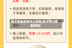 鸽子炖鱼胶有什么功效(鸽子可以煲鱼胶吗)