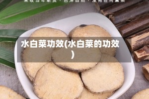 水白菜功效(水白莱的功效)