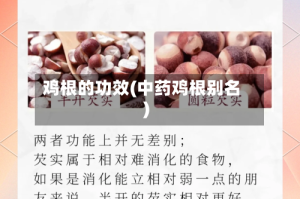 鸡根的功效(中药鸡根别名)