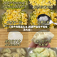 【饺子的做法大全,西葫芦馅饺子的做法大全】