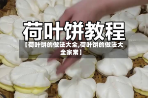 【荷叶饼的做法大全,荷叶饼的做法大全家常】