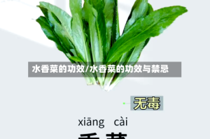 水香菜的功效/水香菜的功效与禁忌