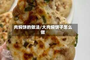 肉焖饼的做法/大肉焖饼子怎么做