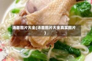 汤面图片大全(汤面图片大全真实图片)