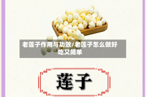 老莲子作用与功效/老莲子怎么做好吃又简单