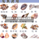 海鲜种类大全/海鲜种类大全图片