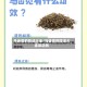 马齿苋的吃法大全/马齿苋的吃法大全及功效