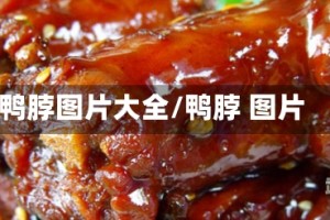 鸭脖图片大全/鸭脖 图片