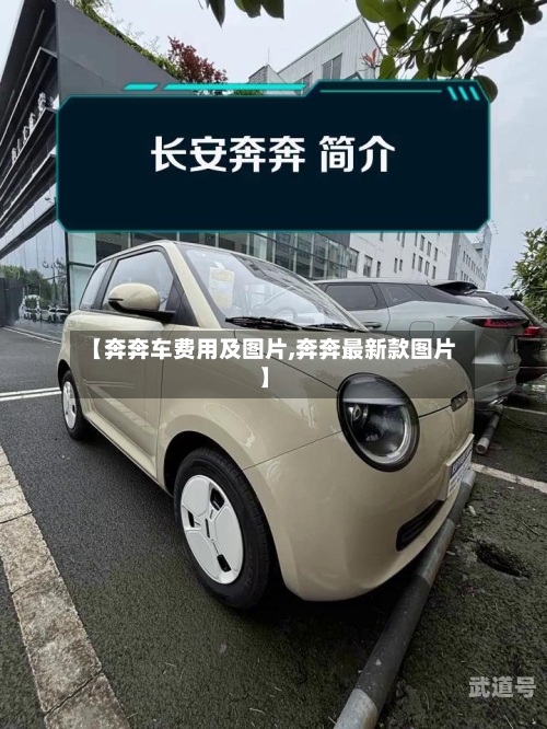 【奔奔车费用及图片,奔奔最新款图片】-第2张图片