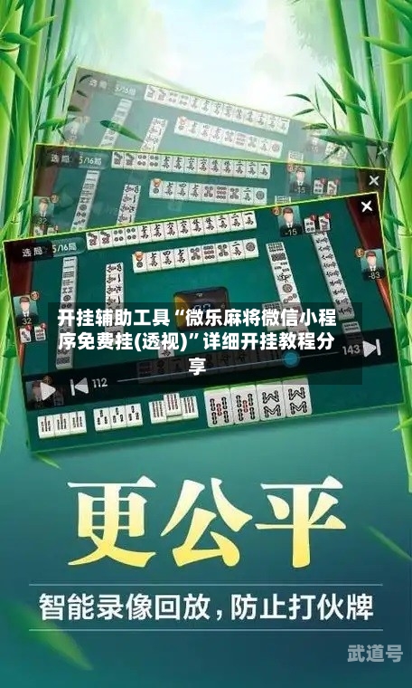 开挂辅助工具“微乐麻将微信小程序免费挂(透视)”详细开挂教程分享-第2张图片