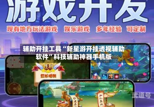 辅助开挂工具“新星游开挂透视辅助软件	”科技辅助神器手机版-第2张图片