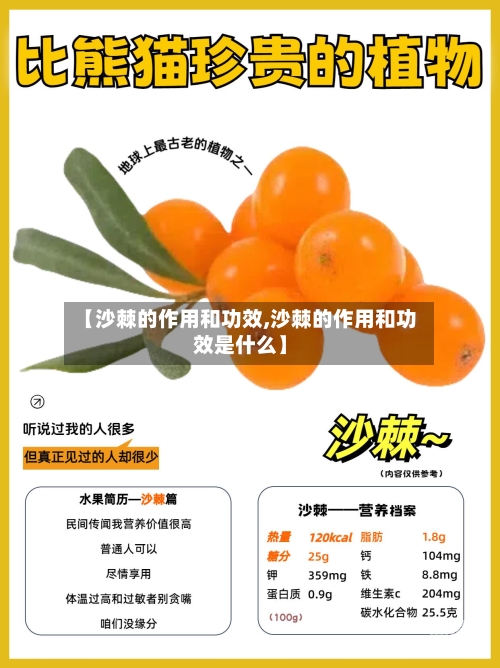 【沙棘的作用和功效,沙棘的作用和功效是什么】-第1张图片