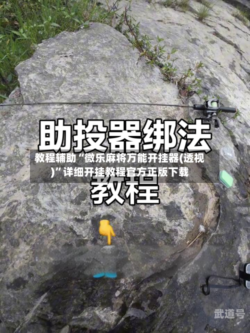 教程辅助“微乐麻将万能开挂器(透视)”详细开挂教程官方正版下载-第2张图片