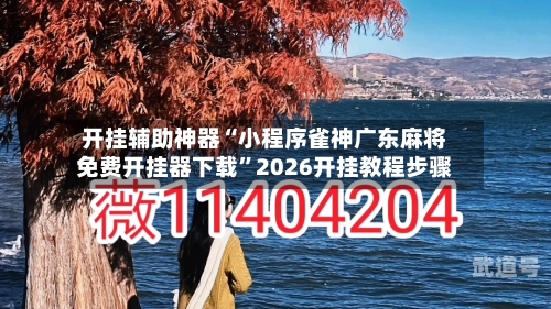 开挂辅助神器“小程序雀神广东麻将免费开挂器下载”2026开挂教程步骤-第2张图片
