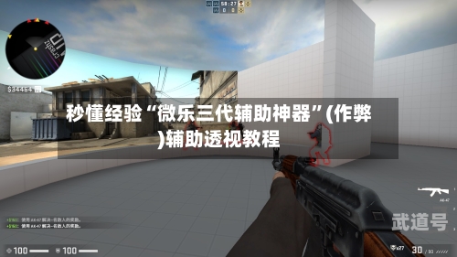 秒懂经验“微乐三代辅助神器”(作弊)辅助透视教程-第3张图片