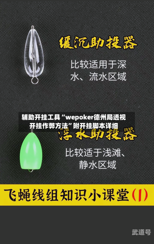 辅助开挂工具“wepoker德州局透视开挂作弊方法	”附开挂脚本详细-第2张图片