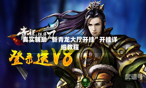 真实辅助“新青龙大厅开挂”开挂详细教程-第1张图片