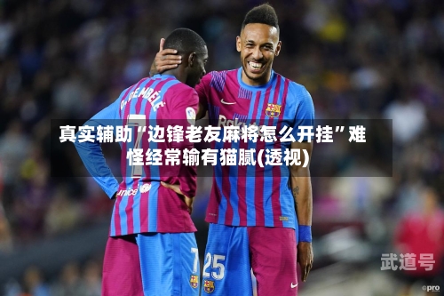 真实辅助“边锋老友麻将怎么开挂	”难怪经常输有猫腻(透视)-第2张图片