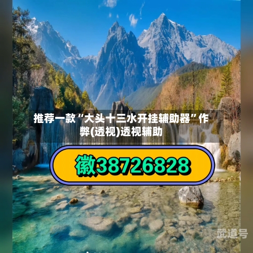 推荐一款“大头十三水开挂辅助器	”作弊(透视)透视辅助-第2张图片