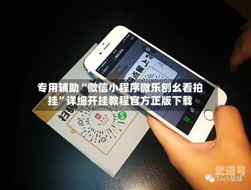 专用辅助“微信小程序微乐刨幺看拍挂”详细开挂教程官方正版下载-第3张图片