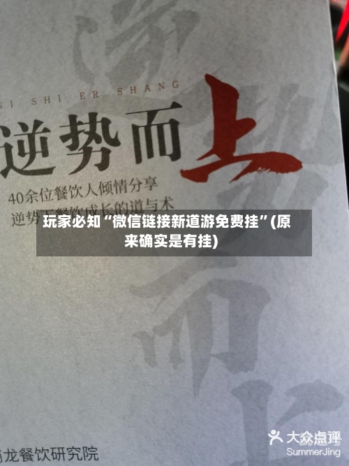 玩家必知“微信链接新道游免费挂”(原来确实是有挂)-第2张图片